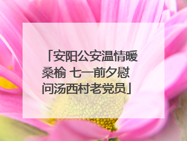 安阳公安温情暖桑榆 七一前夕慰问汤西村老党员