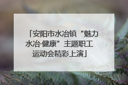 安阳市水冶镇“魅力水冶·健康”主题职工运动会精彩上演