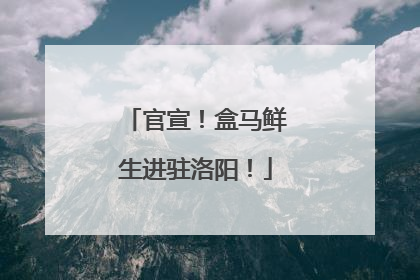 官宣！盒马鲜生进驻洛阳！