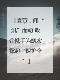 宜章：闻“汛”而动 政企携手为烟农撑起“保护伞”