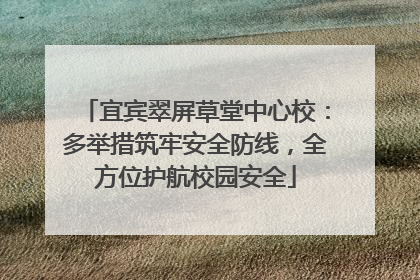 宜宾翠屏草堂中心校：多举措筑牢安全防线，全方位护航校园安全