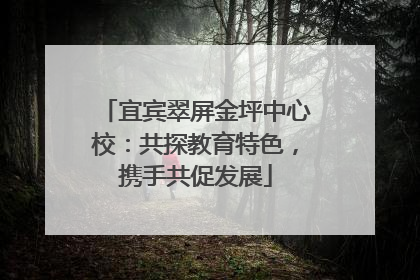 宜宾翠屏金坪中心校：共探教育特色，携手共促发展