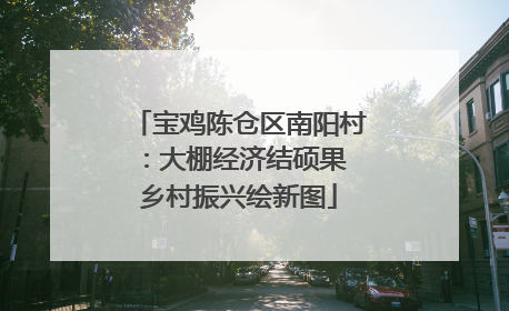 宝鸡陈仓区南阳村：大棚经济结硕果 乡村振兴绘新图