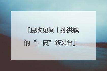 夏收见闻丨孙洪旗的“三夏”新装备