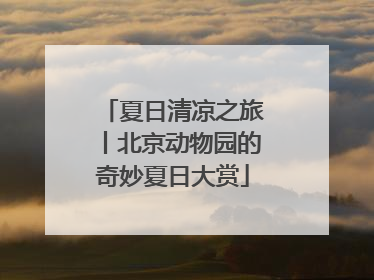 夏日清凉之旅丨北京动物园的奇妙夏日大赏