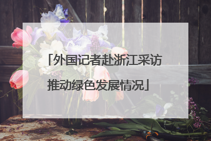 外国记者赴浙江采访推动绿色发展情况