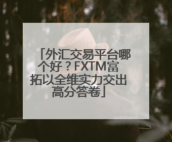 外汇交易平台哪个好？FXTM富拓以全维实力交出高分答卷