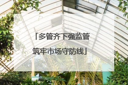 多管齐下强监管 筑牢市场守防线