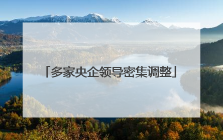 多家央企领导密集调整