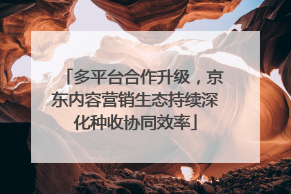 多平台合作升级，京东内容营销生态持续深化种收协同效率