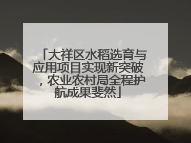 大祥区水稻选育与应用项目实现新突破，农业农村局全程护航成果斐然