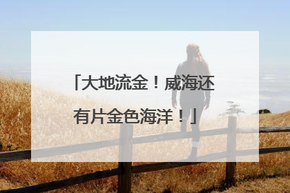 大地流金！威海还有片金色海洋！