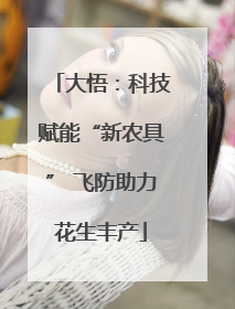 大悟：科技赋能“新农具” 飞防助力花生丰产