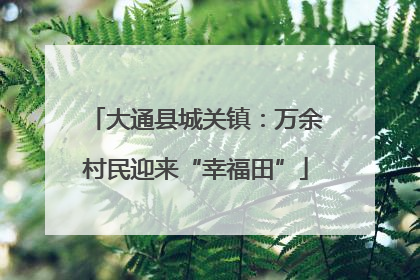 大通县城关镇：万余村民迎来“幸福田”