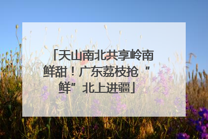 天山南北共享岭南鲜甜！广东荔枝抢“鲜”北上进疆