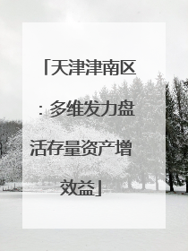 天津津南区：多维发力盘活存量资产增效益