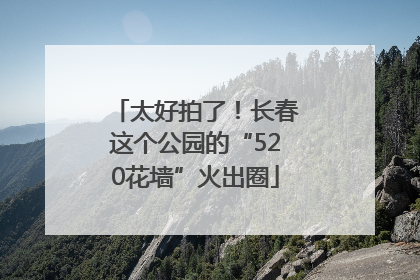 太好拍了！长春这个公园的“520花墙”火出圈