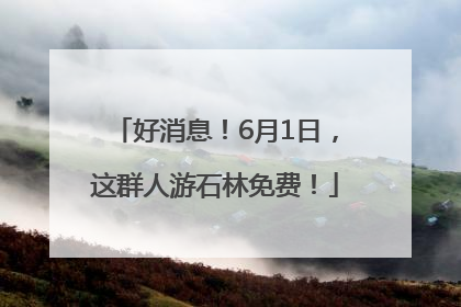 好消息！6月1日，这群人游石林免费！