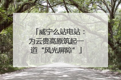 威宁么站电站：为云贵高原筑起一道“风光屏障”