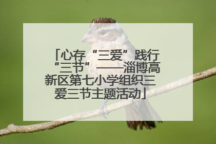 心存“三爱”践行“三节”——淄博高新区第七小学组织三爱三节主题活动