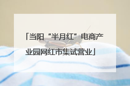 当阳“半月红”电商产业园网红市集试营业