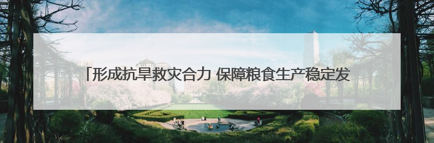形成抗旱救灾合力 保障粮食生产稳定发展 丹阳多部门开展小麦受旱情况调研