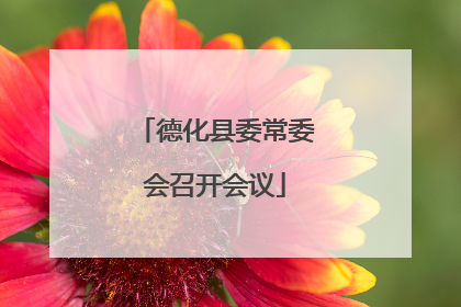 德化县委常委会召开会议