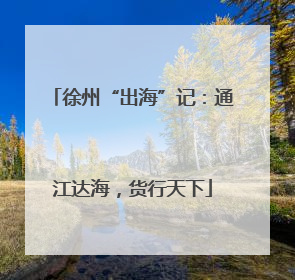 徐州“出海”记：通江达海，货行天下