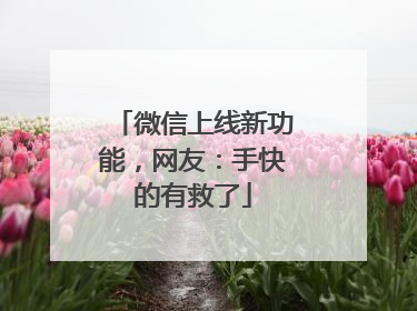微信上线新功能，网友：手快的有救了