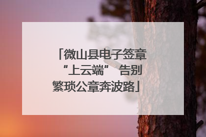 微山县电子签章“上云端” 告别繁琐公章奔波路