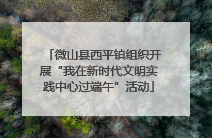 微山县西平镇组织开展“我在新时代文明实践中心过端午”活动