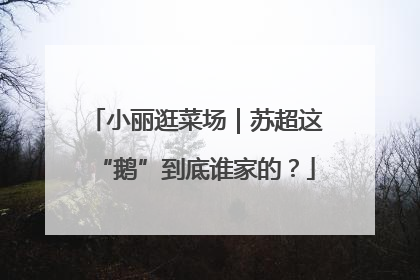 小丽逛菜场｜苏超这“鹅”到底谁家的？