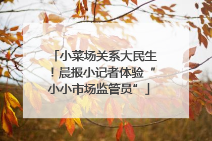 小菜场关系大民生！晨报小记者体验“小小市场监管员”