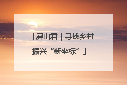 屏山君｜寻找乡村振兴“新坐标”