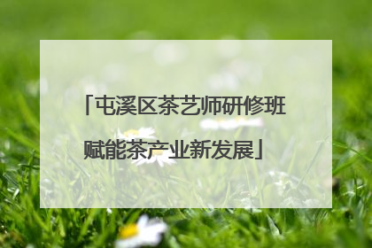 屯溪区茶艺师研修班赋能茶产业新发展