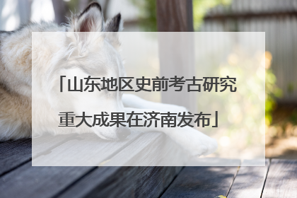 山东地区史前考古研究重大成果在济南发布