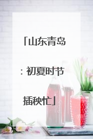 山东青岛：初夏时节插秧忙