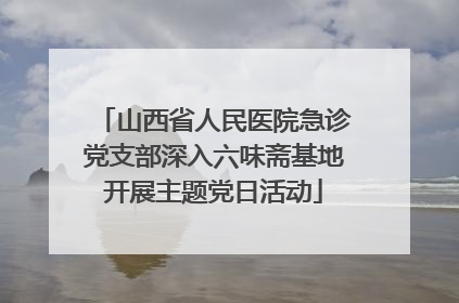 山西省人民医院急诊党支部深入六味斋基地开展主题党日活动