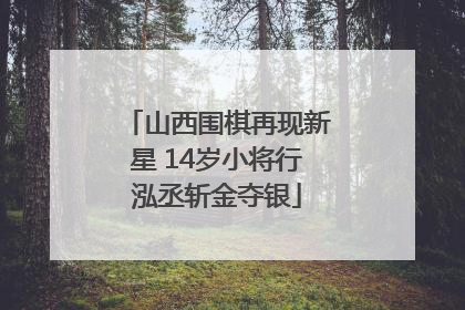 山西围棋再现新星 14岁小将行泓丞斩金夺银
