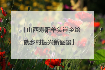 山西寿阳羊头崖乡绘就乡村振兴新图景