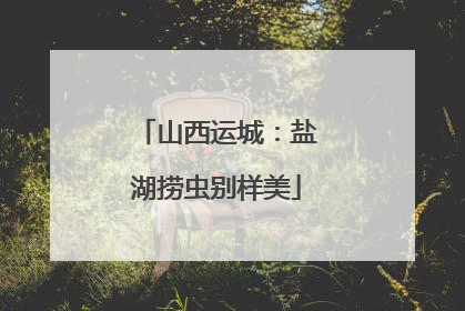 山西运城：盐湖捞虫别样美