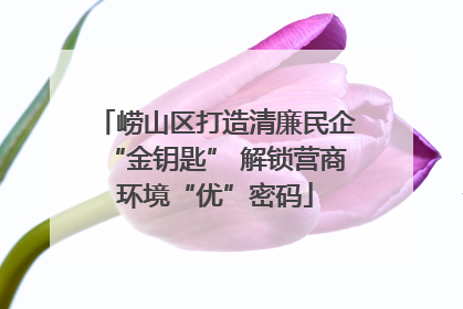 崂山区打造清廉民企“金钥匙” 解锁营商环境“优”密码