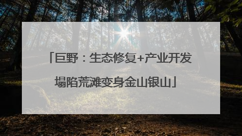 巨野：生态修复+产业开发 塌陷荒滩变身金山银山