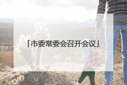 市委常委会召开会议