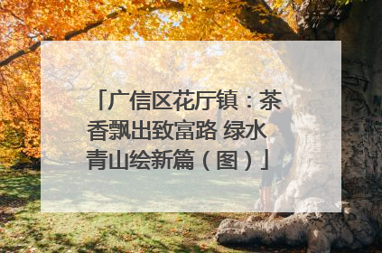广信区花厅镇：茶香飘出致富路 绿水青山绘新篇（图）