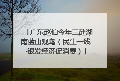 广东赵伯今年三赴湖南蓝山观鸟（民生一线·银发经济促消费）