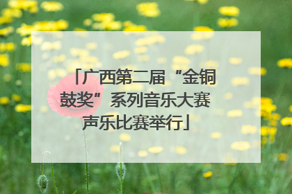 广西第二届“金铜鼓奖”系列音乐大赛声乐比赛举行