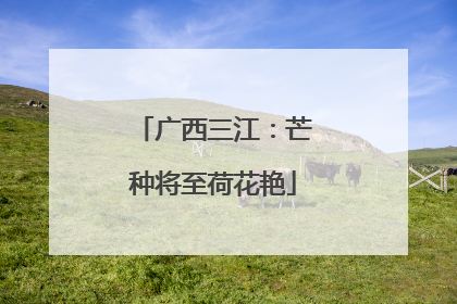 广西三江：芒种将至荷花艳