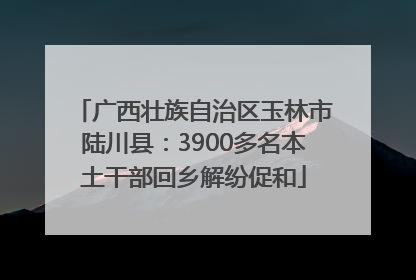 广西壮族自治区玉林市陆川县：3900多名本土干部回乡解纷促和