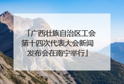 广西壮族自治区工会第十四次代表大会新闻发布会在南宁举行
